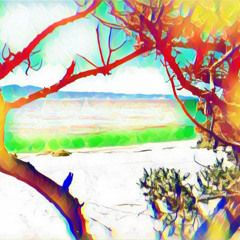 Elias - Beach Bar Energy