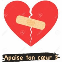 Apaise (Encore) Ton Coeur Vol.3 Dj Toxyq