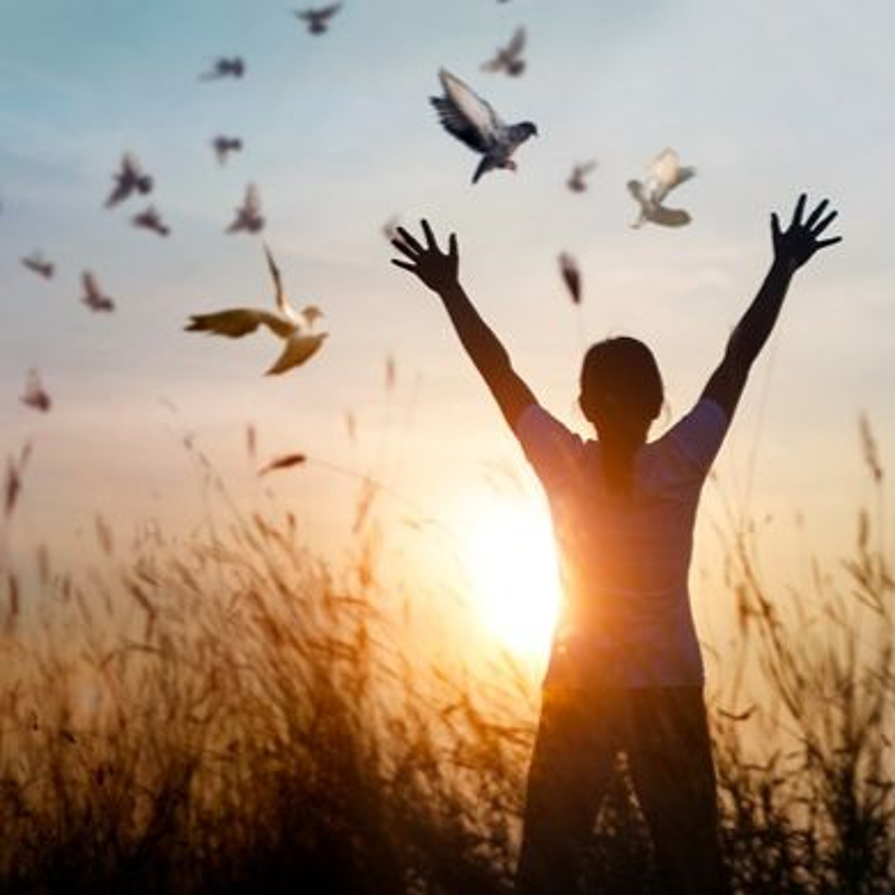 The Art of Letting Go (Liberation in Life) - Alan Watts Lecture episode artwork