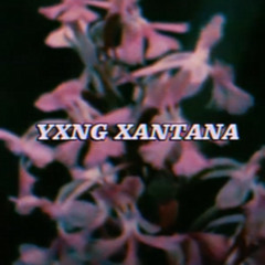 yxng xantana - "Dreamin" (prod.sherlock!)