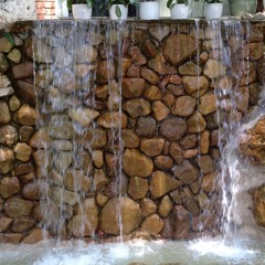 Dragonflies and Waterfalls