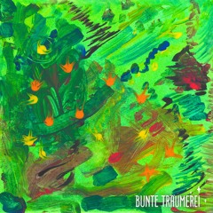 Allez Robin - Fès [BNTT018]