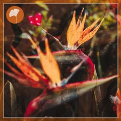 RDT077 Walid Martinez - Nawe Feat. Lin Njoroge
