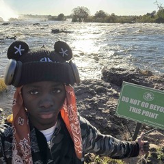 revolver x focus (demo)