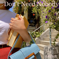 Don't Need Nobody