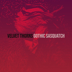 Velvet Thorns