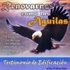 Renovarnos Como Las Aguilas