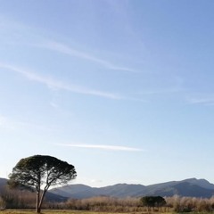 Magic lives among us