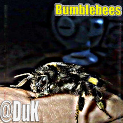 Bumblebees (@prodbyversatile)
