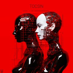 PREMIERE : Mystics (US) - Tocsin (Original Mix)