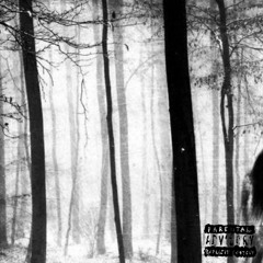 𝓢tep 𝓑ack      🐾