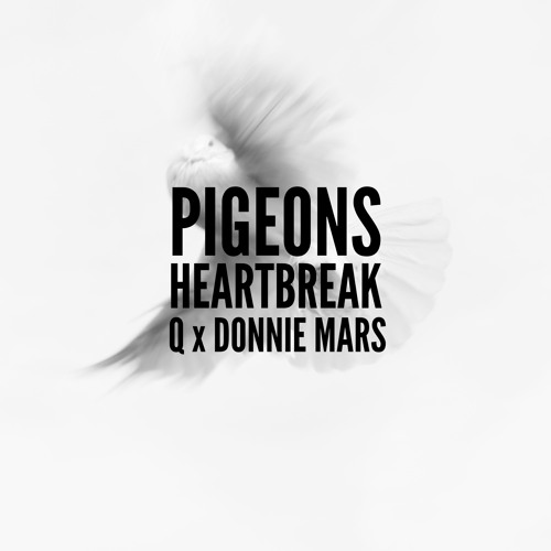 Pigeon's Heartbreak (ft. Onchibaby)