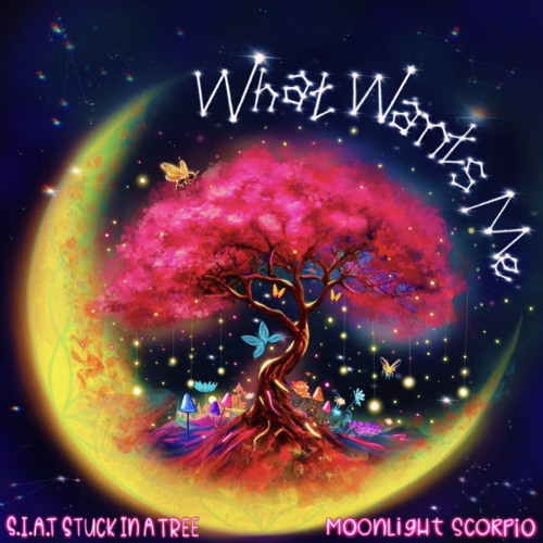 What Wants Me (S.I.A.T Stuck in a Tree x Moonlight Scorpio)