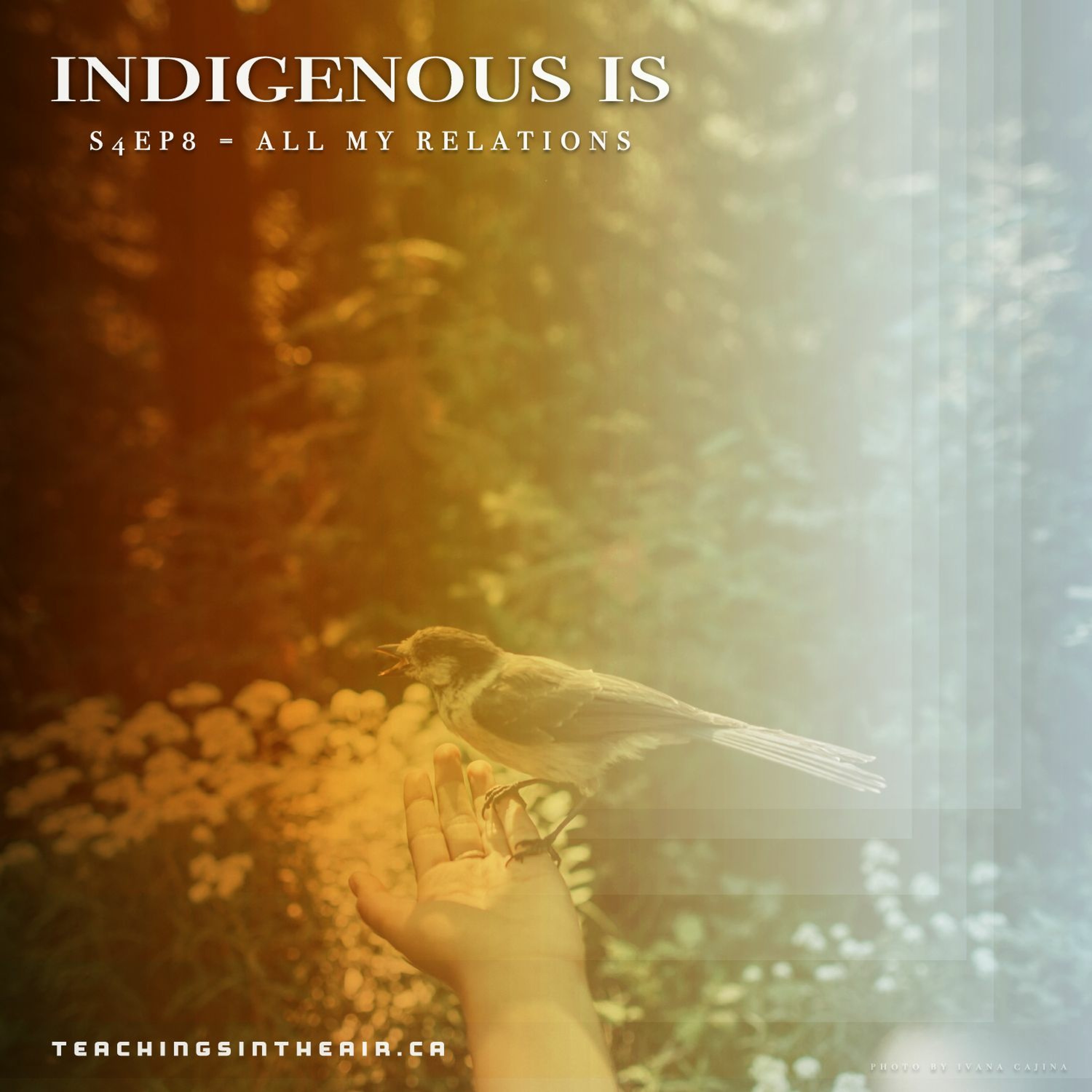 S4- Ep 8 - Indigenous Is: All my Relations episode artwork