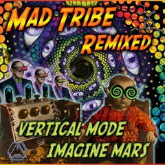 Mad Tribe - Tuned In Perfectly (Imagine Mars Remix)