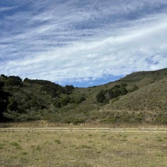 crazyyyyy ass playlist