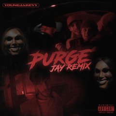 Young Jakeyy Purge Party (Jay Remix)