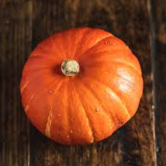 단호박(Decisive Kabocha)