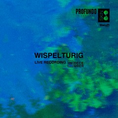 Wispelturig at SKIN x Profundo | DJ Set | Live Recording 09.12.2023