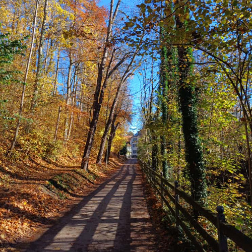 i miss the daphodils - bladee x yung lean type beat 147bpm (prod. jenix)