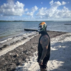 AFRODITA MIAMI VOL.1