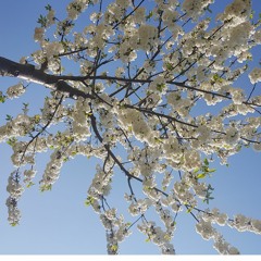 2020.03.05_disco-interstellar