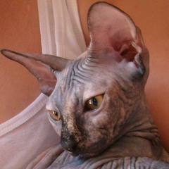 sphinx-(texte-sonine) Ève.mp3