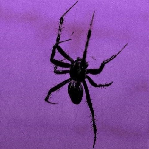 she need me (twerk anthem)