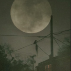 NightOwl Tape 1