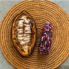 Maíz, Cacao y la Tierra