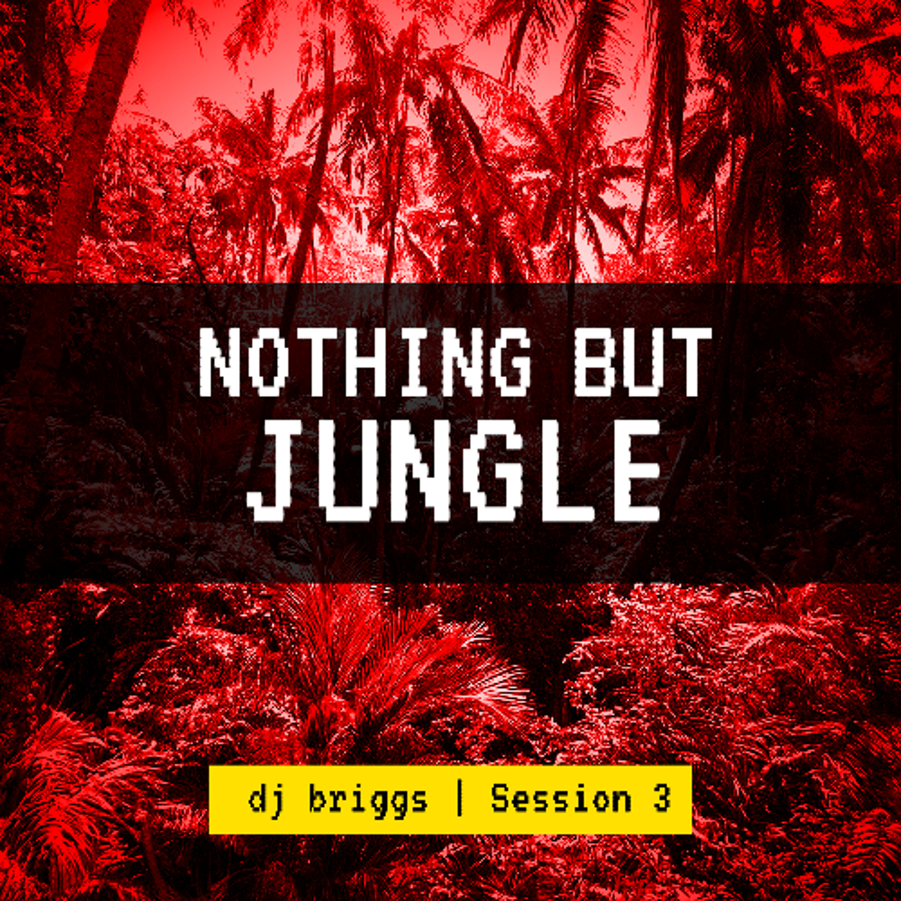 NOTHING-BUT-JUNGLE-SESSION-3 episode artwork