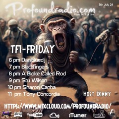 #177 Profound Radio  Melodic Techno  @djstuwilson