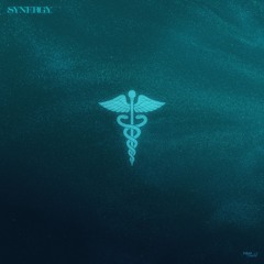 SYNERGY [Prod. tenseiprod]
