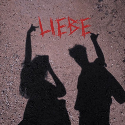 Schleini - Liebe (Techno)