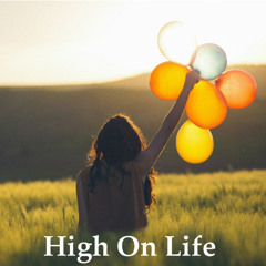 High On Life