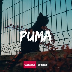 Music tracks, songs, playlists tagged PUMA on SoundCloud