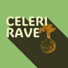 Alvex @ Celeri Rave 2025
