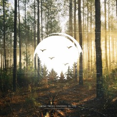ambient