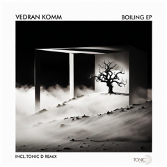PREMIERE: Vedran Komm - Buried [TDR239]