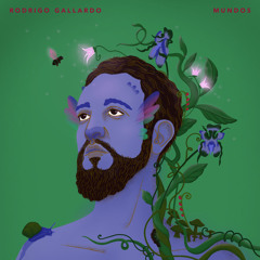 Colibrí