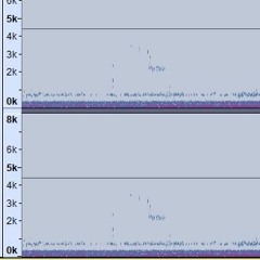 Little Grebe Nocturnal Flight Call, 21st July 2020