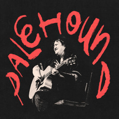 Your Boyfriend’s Gun (Live)