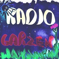 RadioGarzen - Mshoe