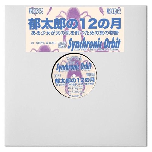 PREMIERE: Dj Steve & Bobi Cacen - Moon 10 (Outer Orbit)