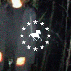 замерзшие огни