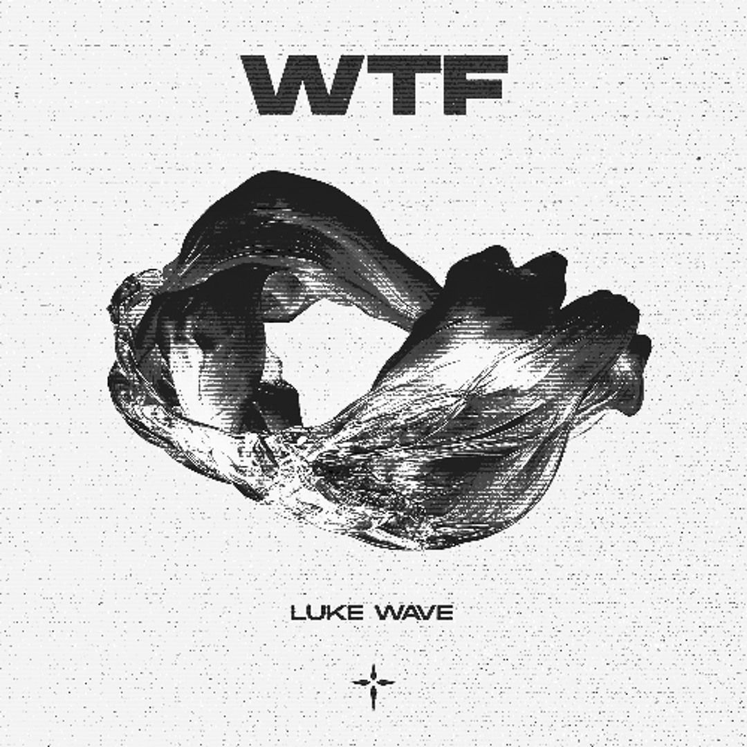 Stream Luke Wave - WTF (Extended Mix) by BADDIE UP RECORDS | Listen ...