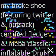 my broke shoe