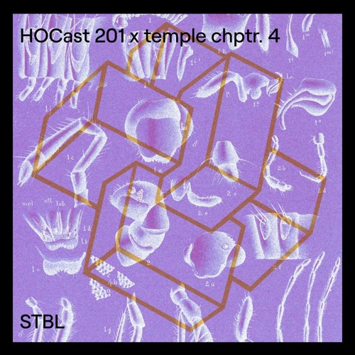 HOCast #201 x temple chptr. 4 - STBL - LIVE