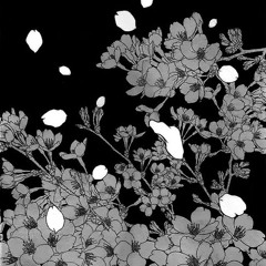 Ballé noire // 白蓮