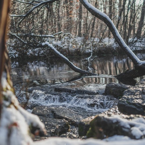 2021 - restful madness - part.2